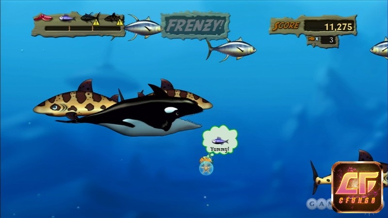 Người chơi vào vai một con cá nhỏ bé, tìm cách trở thành con cá to nhất trong đại dương, mang đến những trải nghiệm mới lạ, tuyệt vời.