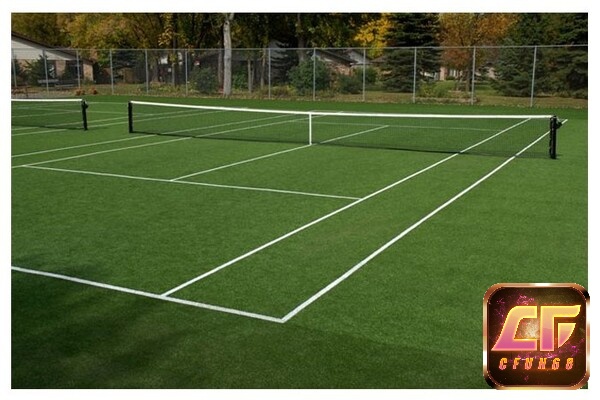 Sân cỏ cần đạt đúng kích thước sân quần vợt