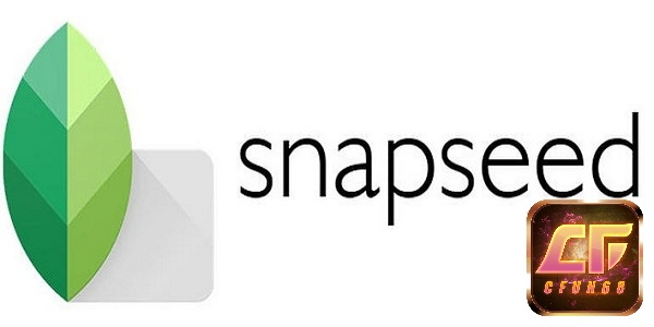 App Snapseed là ứng dụng chỉnh ảnh chuyên nghiệp hiện nay