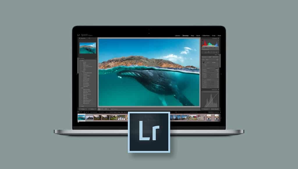 App Adobe Lightroom Photo Editor: thiết kế ảnh chuyên nghiệp
