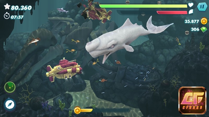 Chú cá mập của bạn sẽ đối mặt với nhiều kẻ thù to lớn