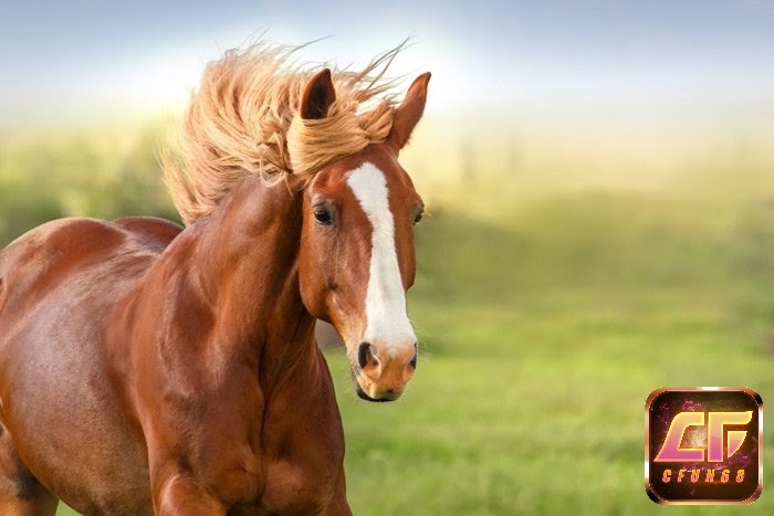 Từ thời xưa ngựa luôn là một trong những loài động vật quý