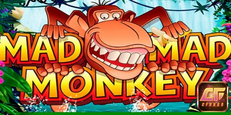 Mad Mad Monkey là một trò chơi slot video hấp dẫn từ NextGen