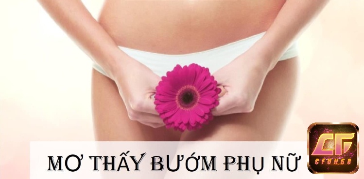 Mơ thấy bướm phụ nữ là điềm báo gì?