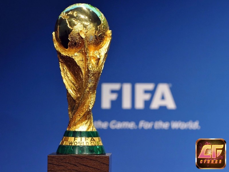 World Cup là giải vô địch bóng đá thế giới quy tụ các đội tuyển bóng đá hàng đầu